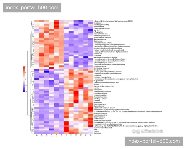 技术分析：通过热图对比，解读布伦特福德如何利用宽度发动转换